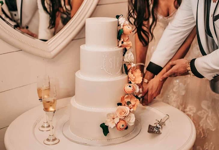 Tampa Bay Cake Company