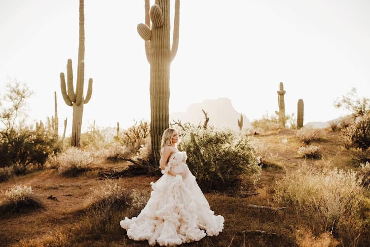 Shanyn Nicole Studios LLC