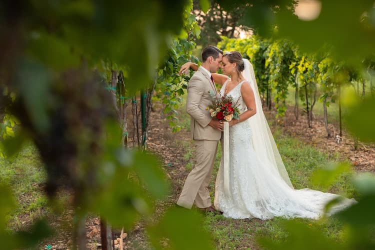 David Pezzat Photographers