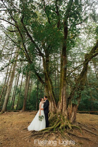 Seattle Flashing Lights Photography