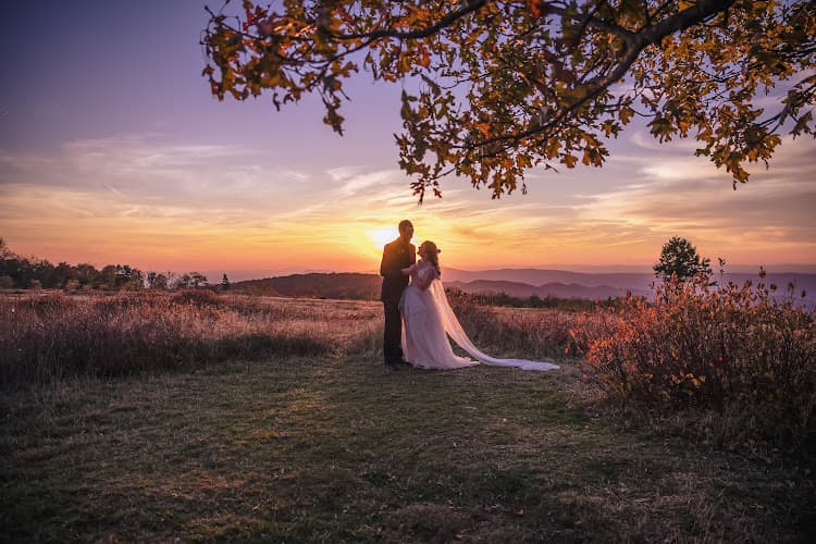 Damon Bowe Photography