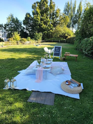 Picnic Party Seattle