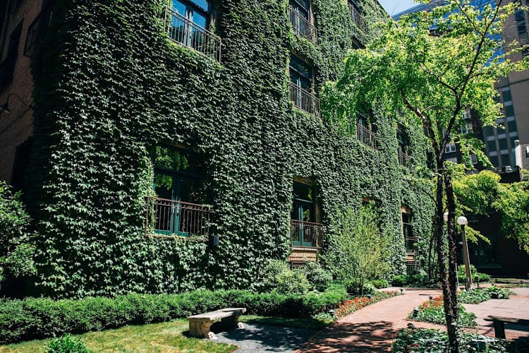 The Ivy Room At Tree Studios